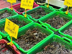 -众味海鲜大排档·活海鲜·潮汕味(南澳店)