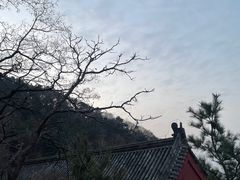 -泰山风景名胜区