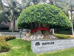 -海南清水湾莱佛士酒店