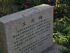 -上海方塔园