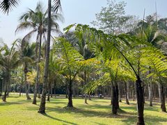 -中国科学院西双版纳热带植物园