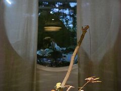 -菩提素素食餐厅(晶郦馆店)
