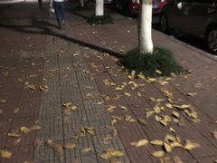 -西南政法大学(渝北校区)