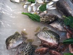 -五稻厨房粤西菜(新闻店)