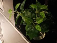 -德全心悦酒店(北京金台路地铁站店)