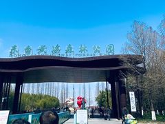 -黄海国家森林公园