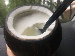 -志龙皇冠吃货椰子铺
