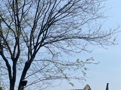 -石湖景区