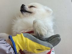 -怪兽屋·羊驼·猫咖·狗咖(俊华广场店)