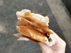 -孙奶奶葱包桧