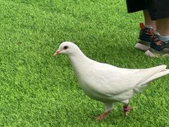 -IPARK购物中心