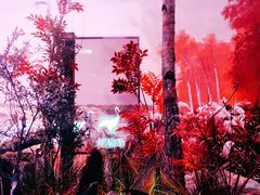 -中国湿地博物馆
