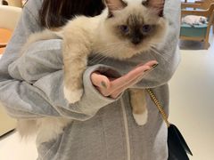 -藏猫猫咖啡主题馆(中央大道店)