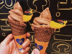 -麦当劳(新洲南路店)