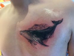 -MDZ STORE·TATTOO·耳饰