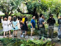 -Chom Cafe and Restaurant