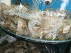 -烁佳海鲜大馅饺子