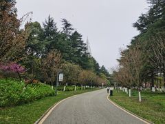 -花溪公园
