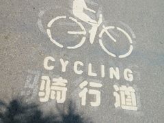 -日照海滨国家森林公园