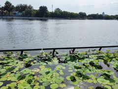 -后海公园