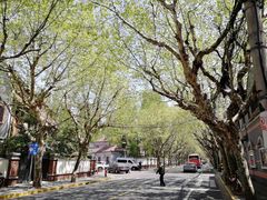 -溧阳路经典老洋房