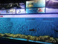 -石林冰雪海洋世界