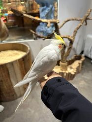 -Zoolung Zoolung动物主题公园(海信广场店)