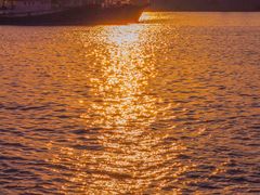 -先锋海鲜市场
