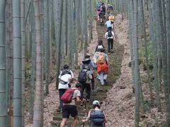 -午潮山国家森林公园