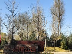-东郊湿地公园