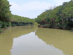 -大湾区中央湿地公园