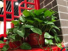 -五悦北平四季涮肉·烧烤(老商埠店)