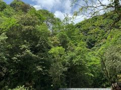 -西岭雪山大飞水景区