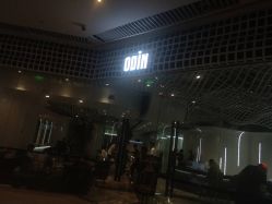 -ODIN 奥丁形象设计 