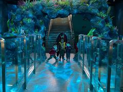 -陕西自然博物馆