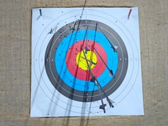 -蓝天射箭馆·专业射箭运动(诚丰广场店)