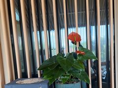 -荷风细雨·中国茶宴(碧云店)