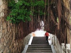 -乌山风景区
