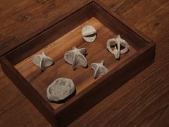 -元白和创园展厅