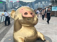 -星光大道
