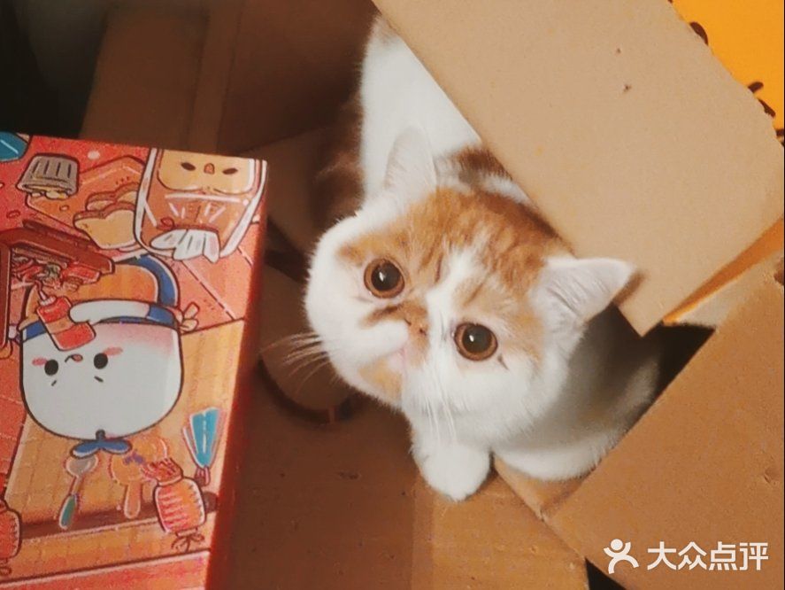 来看看这家烤鱼