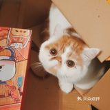 来看看这家烤鱼