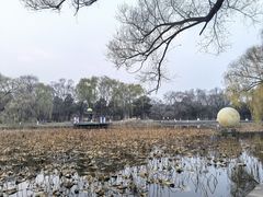 -北陵公园
