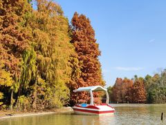 -上海海湾国家森林公园