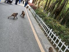 -黔灵山公园-南门售票处