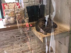 -猫咪博物馆(顶澳仔猫街店)