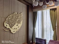 -青青一生美皮肤管理