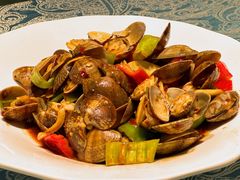 辣炒花蛤-北塘海鲜·天津菜(大光明桥旗舰店)