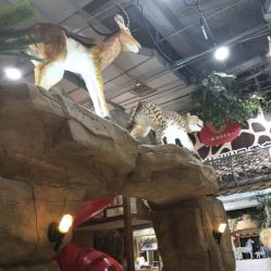 -鲁比猴非洲探索部落(喜盈门店)