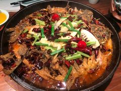 -老板恋上鱼(振华商厦店)